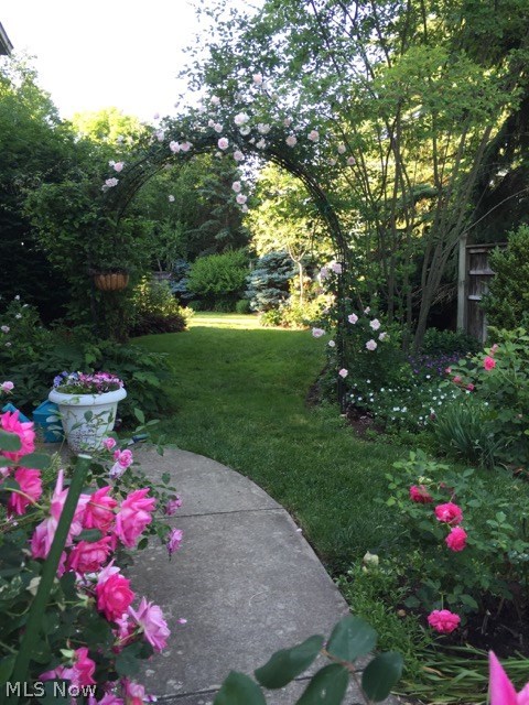 Hametown Woods - Residential