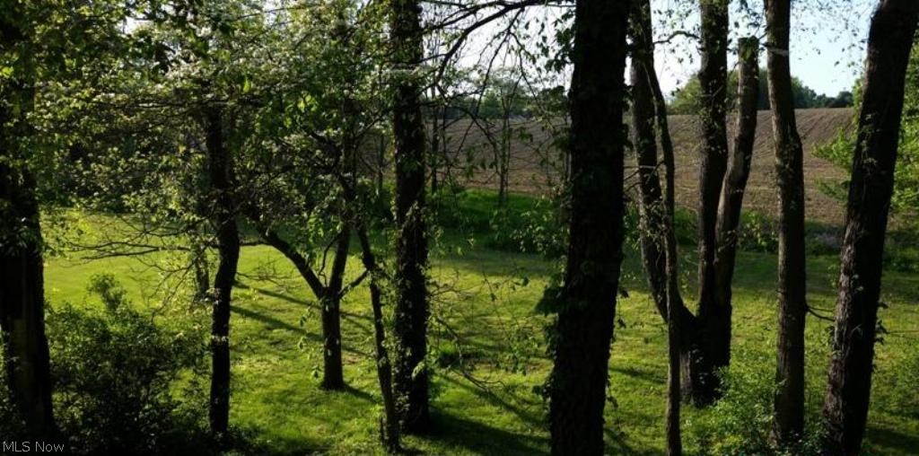 Scenic - Residential