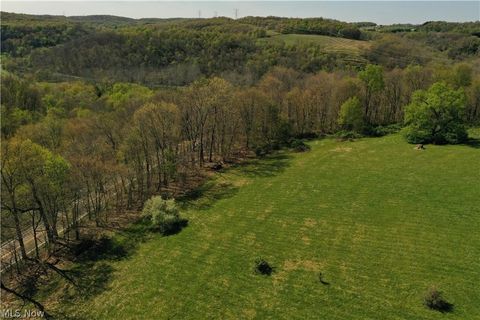 Vacant Land For Sale - 14528 Sprucevale Rd<br/> Columbiana County, East Liverpool, OH 43920