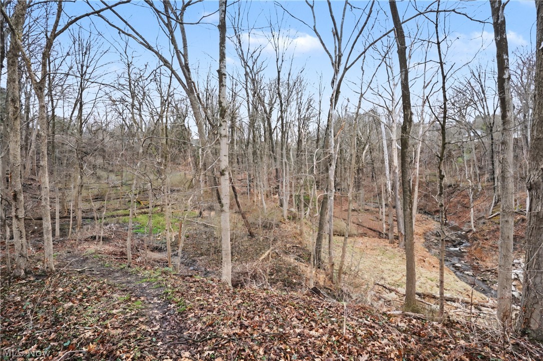 Photo 1 of 12 — 6196 Riverview Road, Peninsula, OH 44264