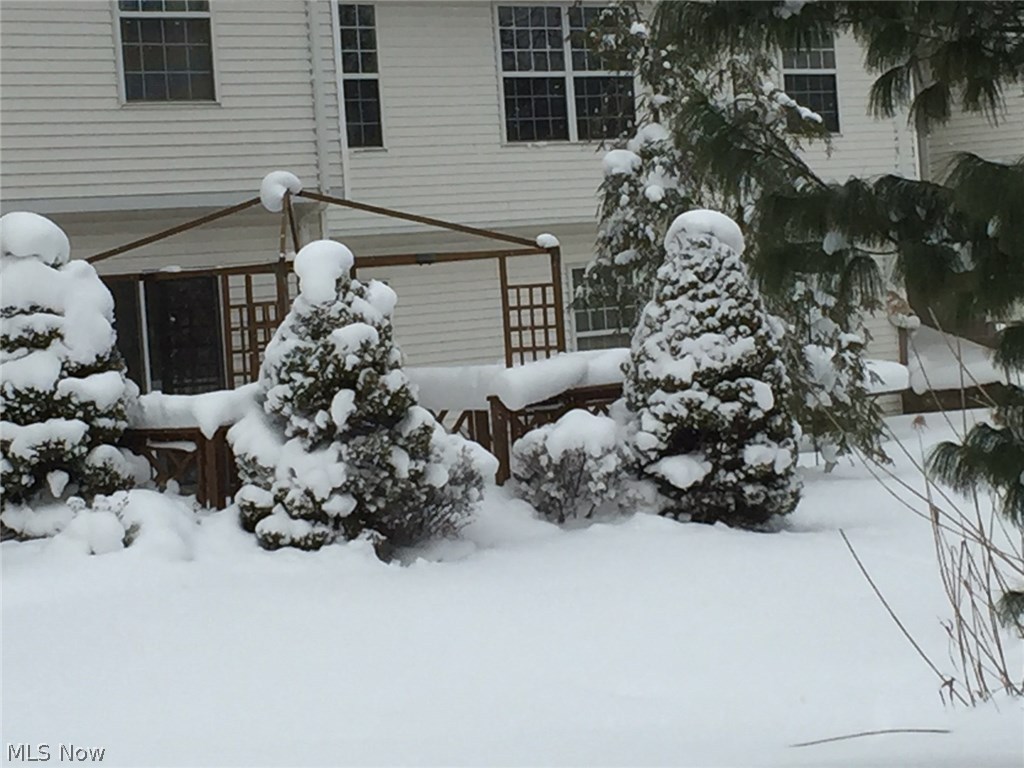 Country Scene Condo - Residential