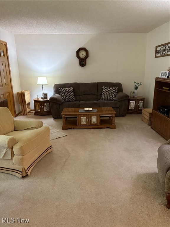 2499 Nesmith Lake Boulevard, Akron, Ohio image 5