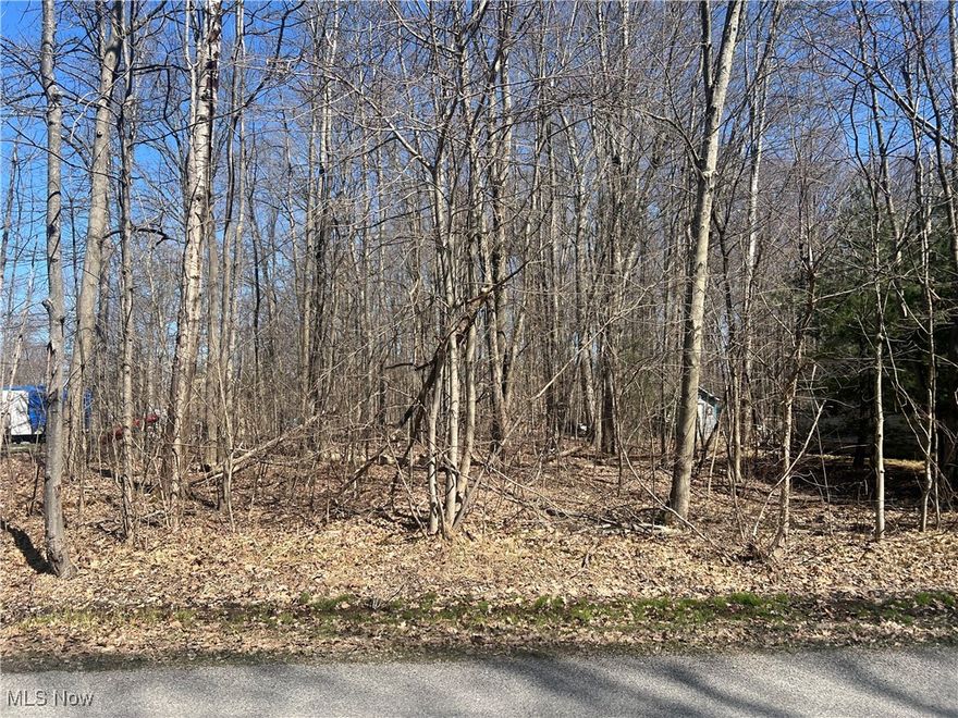 Build Your Dream Retreat in Ohio's Wine Country!
Welcome to a stunning oasis featuring the largest private lake in Ohio! This property offers luxurious living with heated swimming pools, sandy beaches, and a wealth of recreational activities. Enjoy tennis, volleyball, and pickleball courts, along with boating, water skiing, and fishing right at your doorstep.  Private marina with paved boat launching ramp, dock rental, boat storage and service.
Join vibrant social clubs and unwind at the Lake front restaurant and bar all while being nestled in the heart of Ohio's renowned wine country and just a short drive from picturesque golf courses and the shores of Lake Erie. 
Don’t miss this rare opportunity to embrace a lifestyle of leisure and luxury—your perfect home awaits! Schedule a viewing today and experience serene lakeside living like never before!