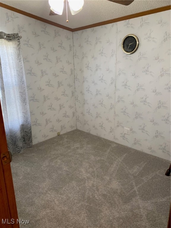237 Gull Drive, Elyria, Ohio image 3