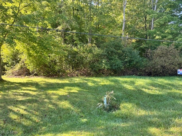 Roaming Rock 08 - Land