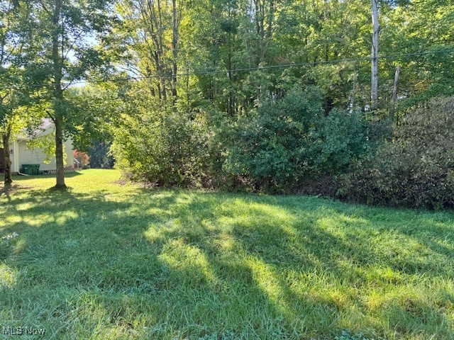 Roaming Rock 08 - Land