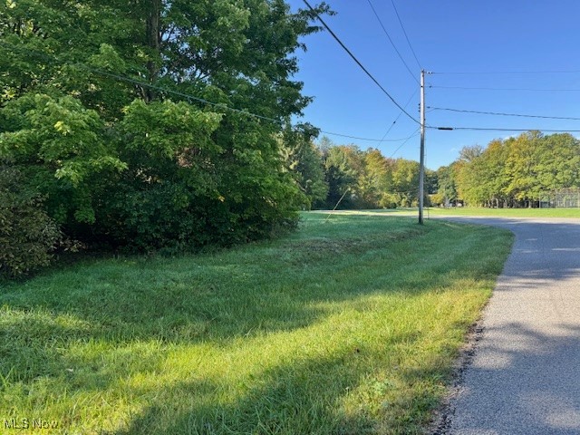 Roaming Rock 08 - Land