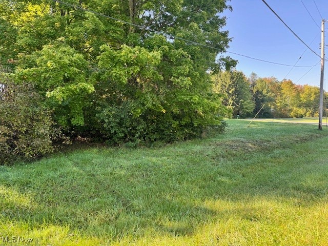 Roaming Rock 08 - Land