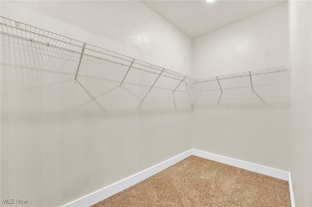 Mills Pointe Clstr Home Sub - Residential