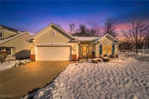 1485 Golden Lane Broadview Heights OH 44147