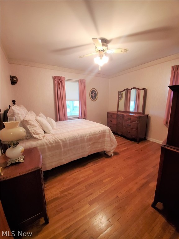 Biddulph Road - Residential