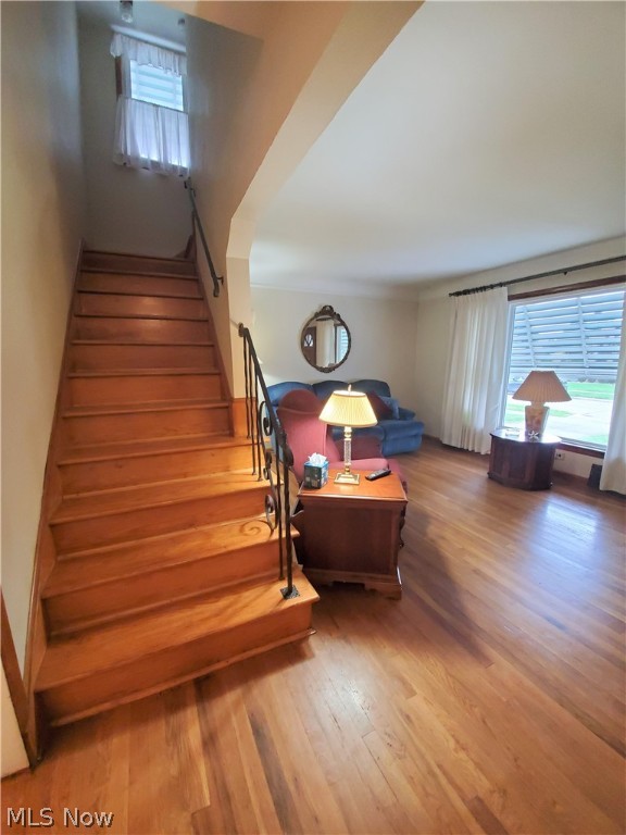 Biddulph Road - Residential