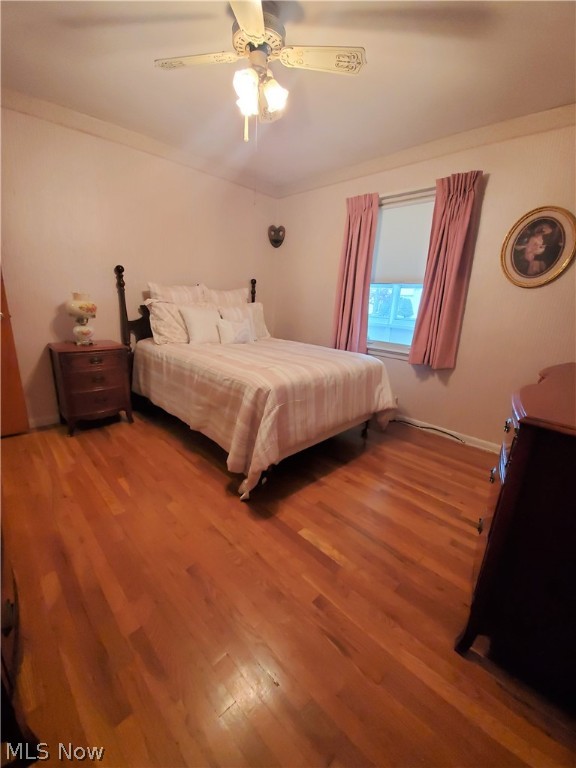 Biddulph Road - Residential