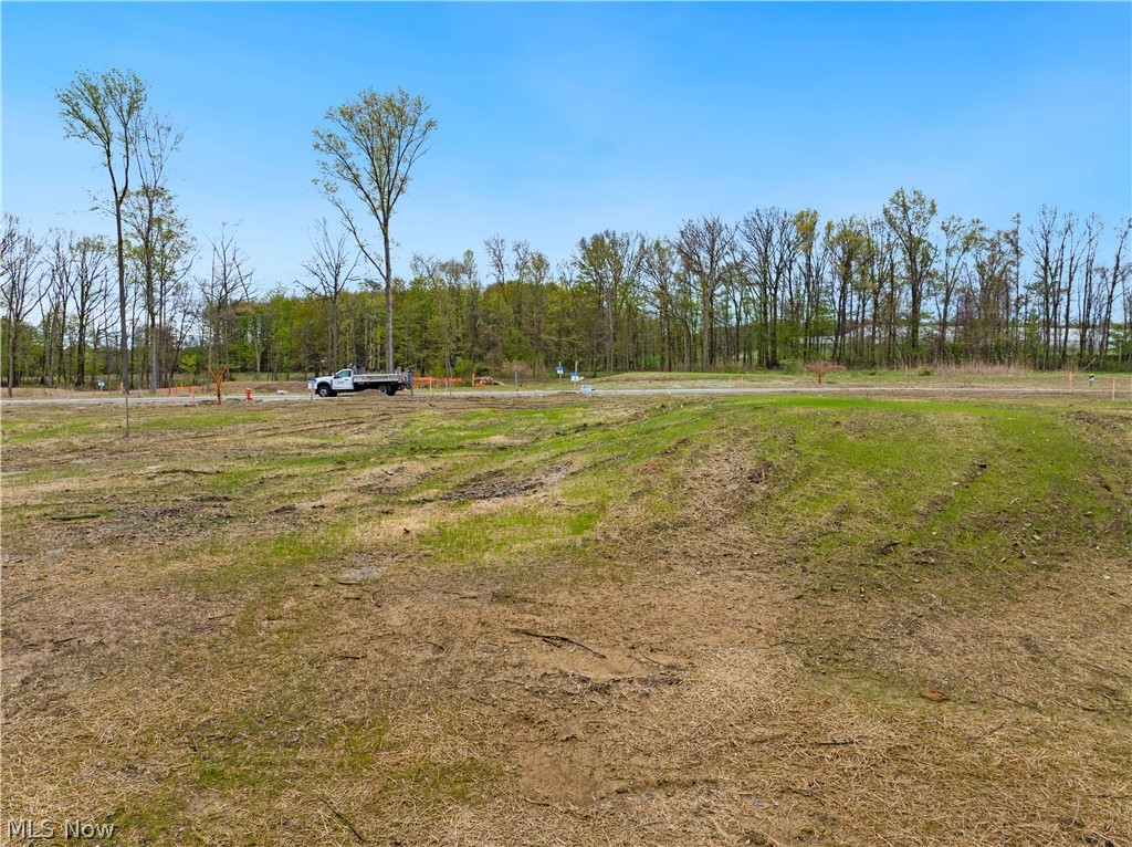 9523 River Birch Run