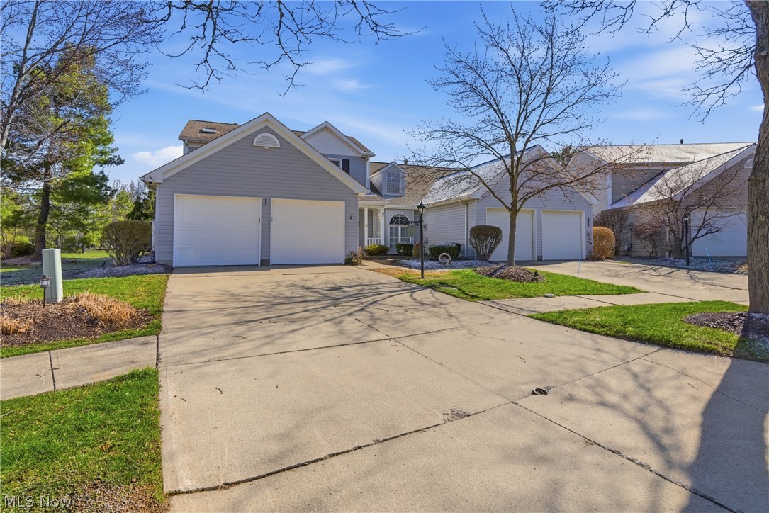 Springfield Commons - Residential