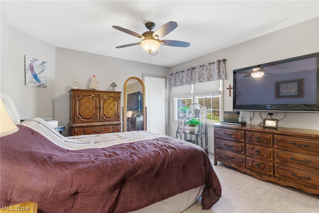 Springfield Commons - Residential