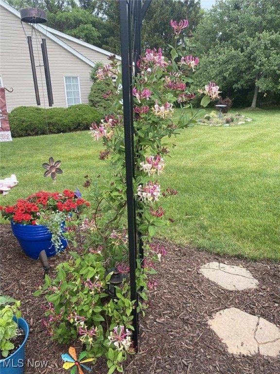 Springfield Commons - Residential