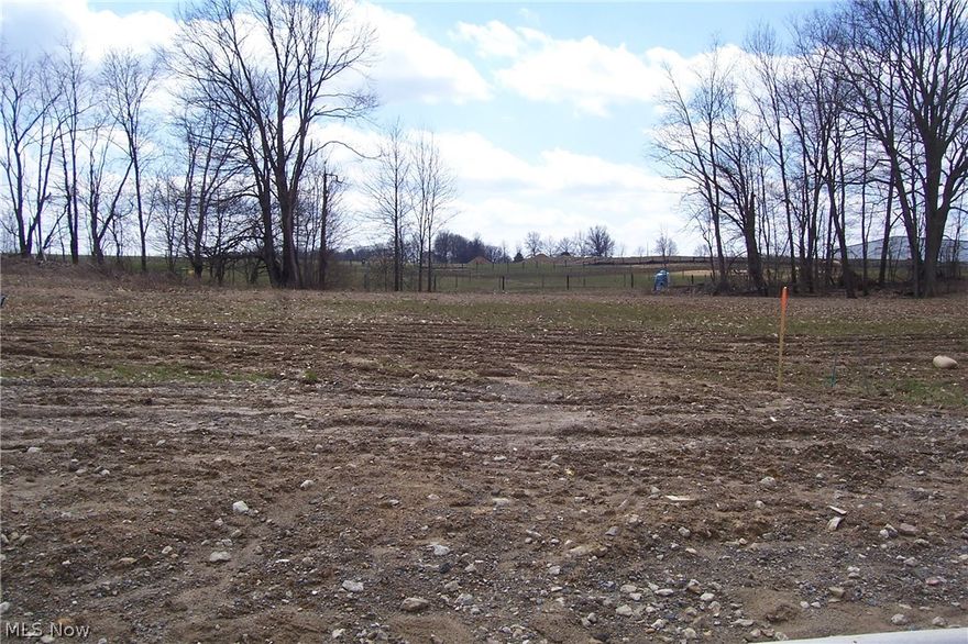 Welcome to Phase Two of Cedar Run Development!  Lot 25.  All utilities available!  30 beautiful lots.  
Bring your Builder and your plans (to be approved by Cedar Run Development Design Review Committee).