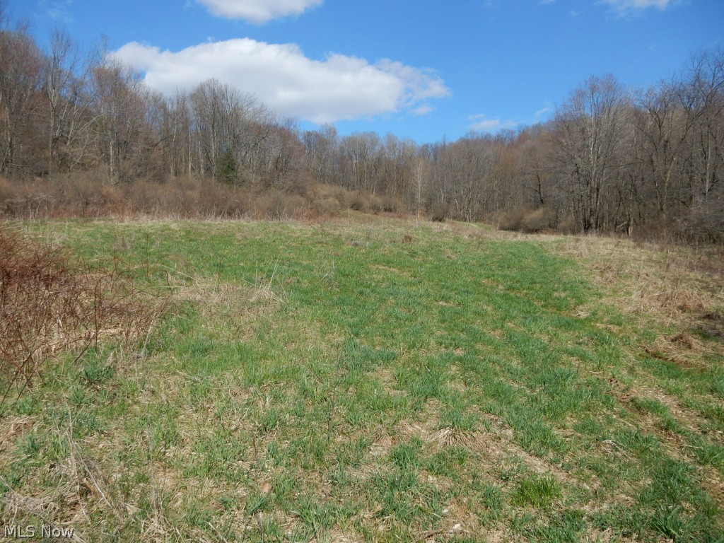 Come take a walk and absorb all that this 41+ acres has to offer. Quiet oasis to build your dream home or a great spot for a hunters retreat. The scenery is breath taking. The land has some rolling hills as well as perfect places to build. There is plenty of wildlife in the wooded area to make any outdoorsman happy, happy, happy. The lot has been preliminarily approved for a private water supply and home sewage disposal system. Mineral rights do not convey.