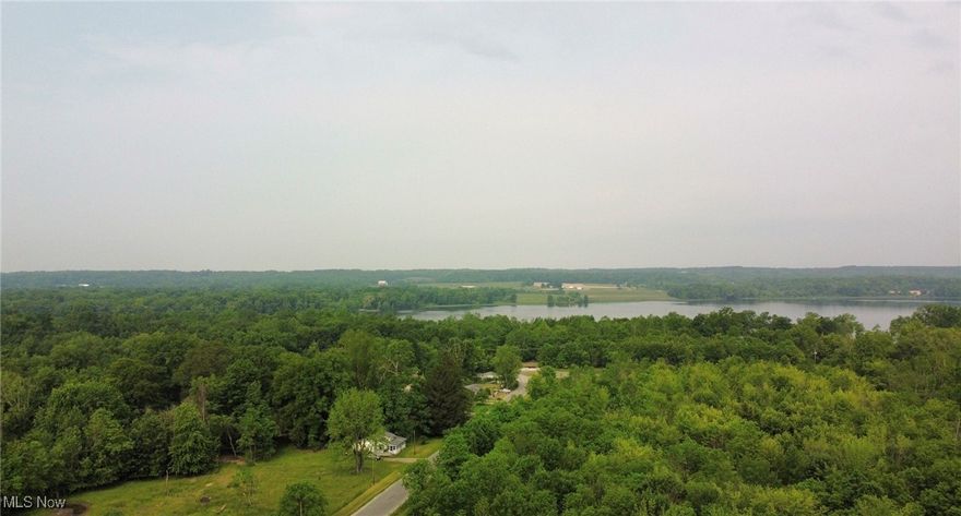 Bring your ideas for this vacant land located just minutes from beautiful Chippewa Lake. Included in the sale are two equal parcels. Close to highway access and amenities.