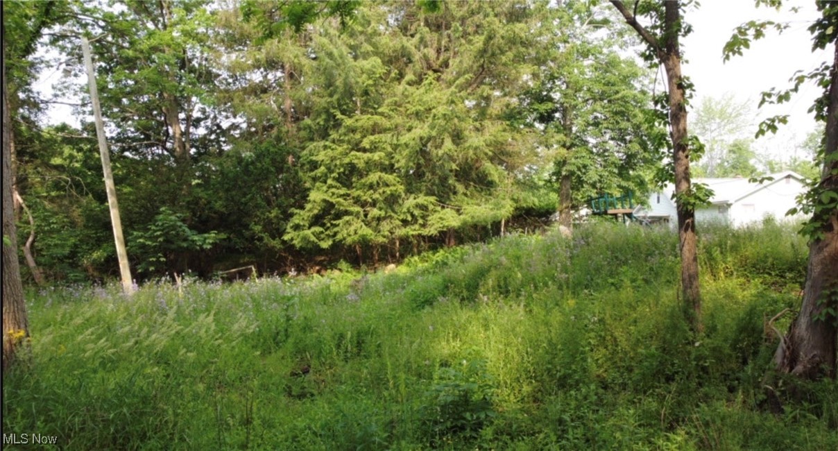 Walnut Drive, Chippewa Lake, Ohio image 2