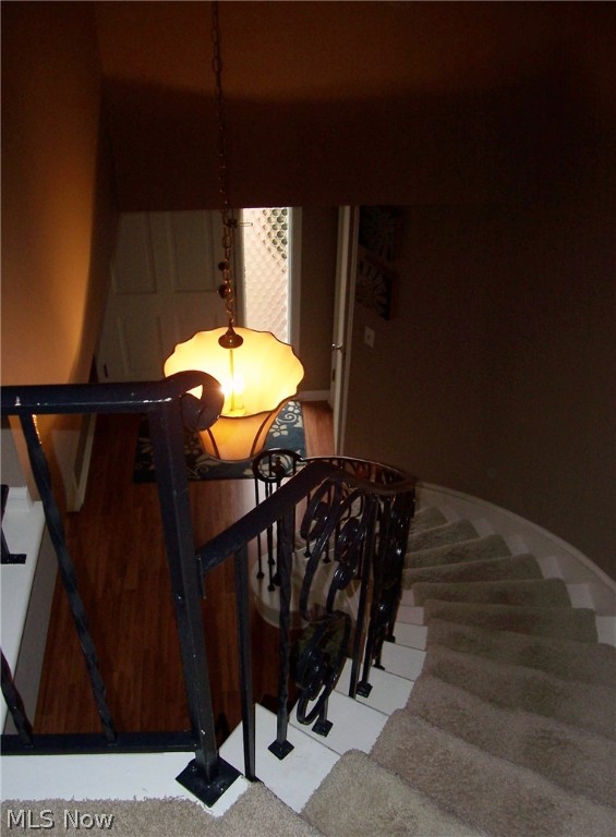 Meadowlawn Condo - Residential