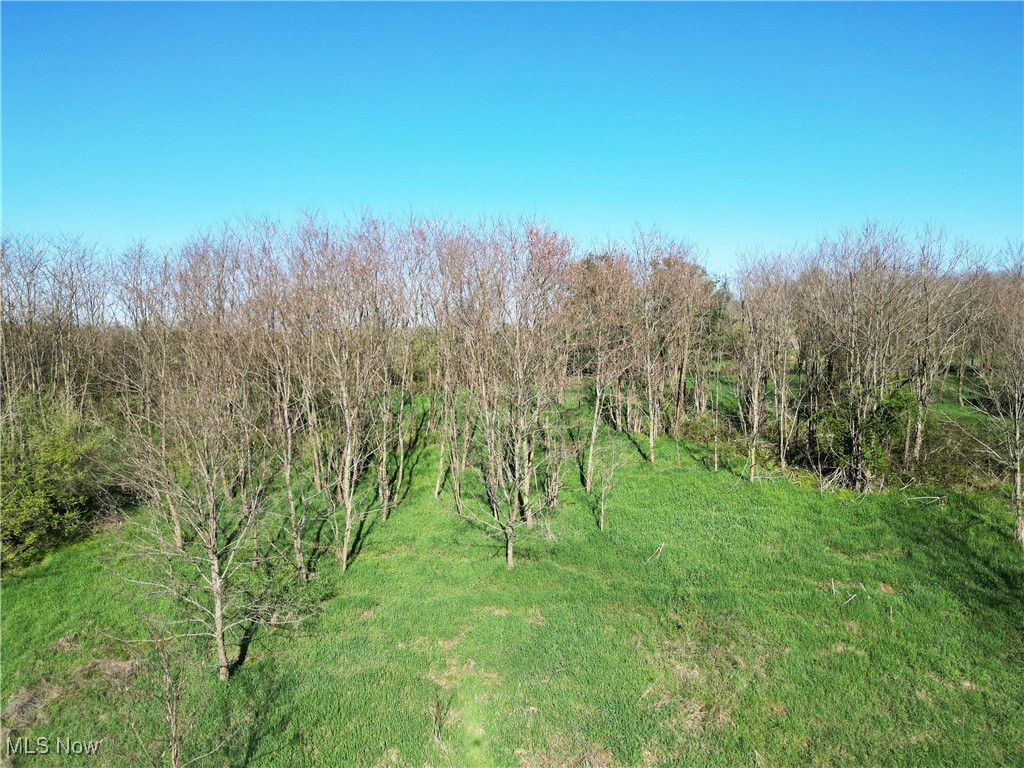 16386 Township Road 118, Kimbolton, Ohio image 18