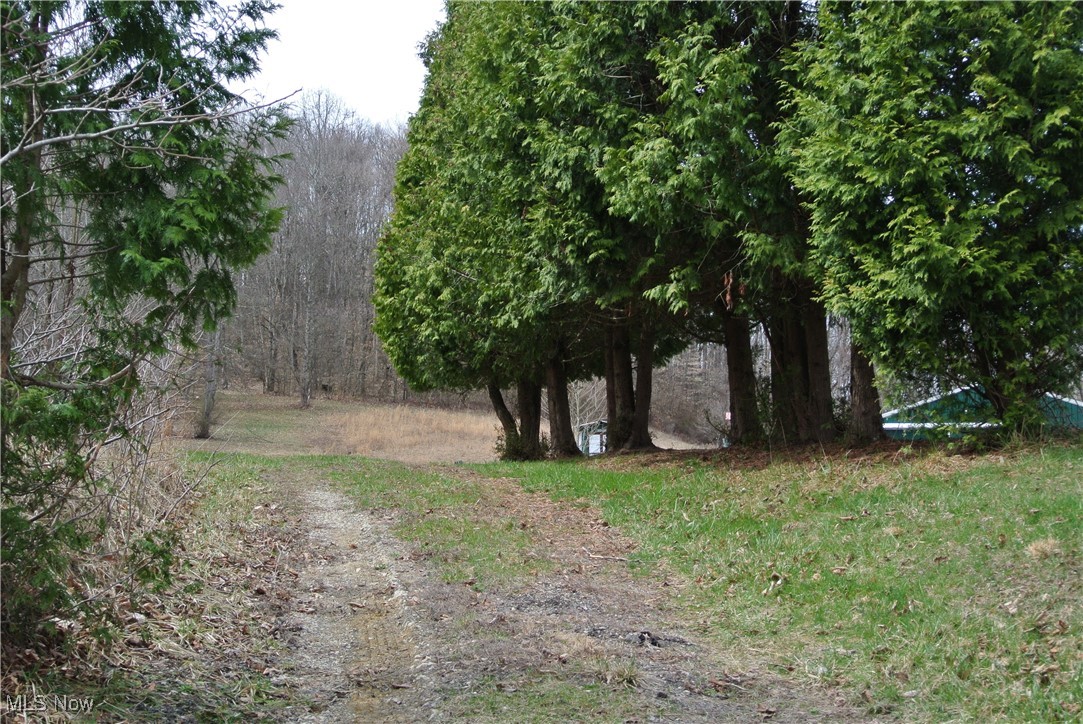 69517 Hopewell Road, Cambridge, Ohio image 3