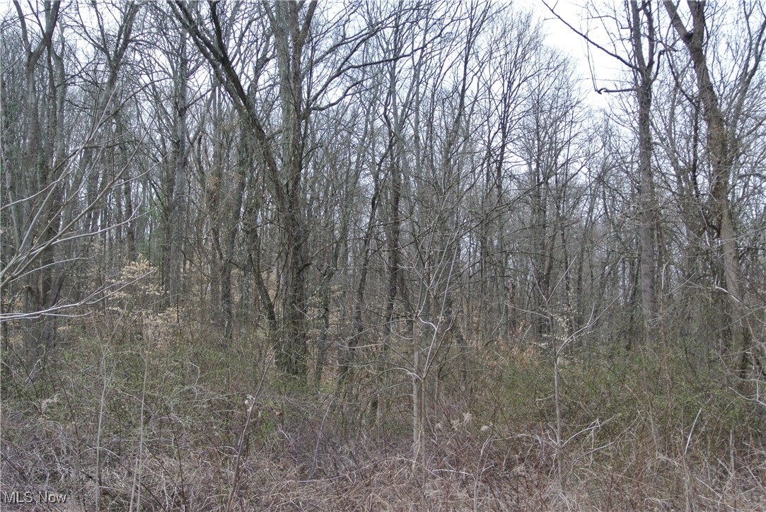 69517 Hopewell Road, Cambridge, Ohio image 12