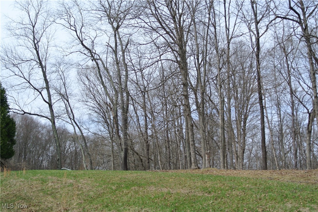 69517 Hopewell Road, Cambridge, Ohio image 15