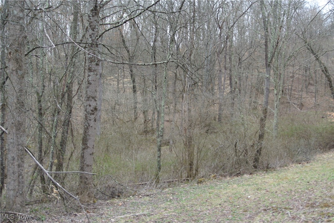 69517 Hopewell Road, Cambridge, Ohio image 13
