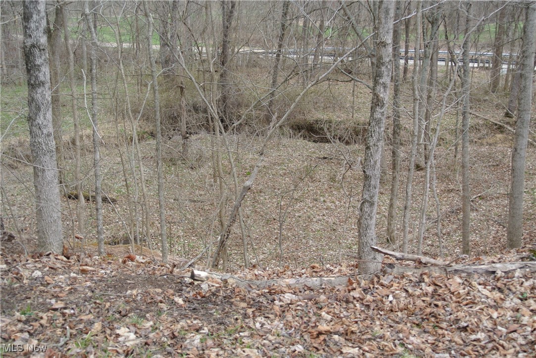 69517 Hopewell Road, Cambridge, Ohio image 8