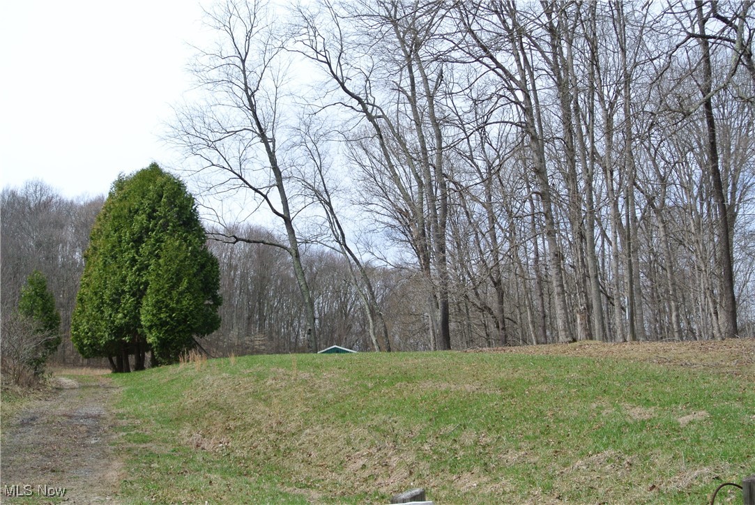 69517 Hopewell Road, Cambridge, Ohio image 16