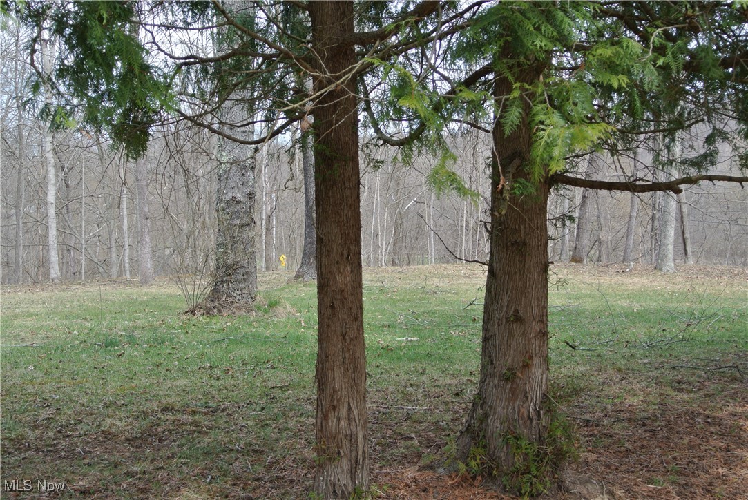 69517 Hopewell Road, Cambridge, Ohio image 11