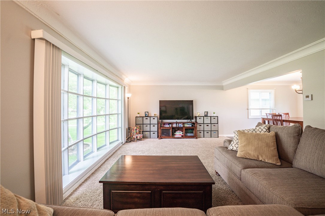 East Parkleigh Inc Skyline - Residential