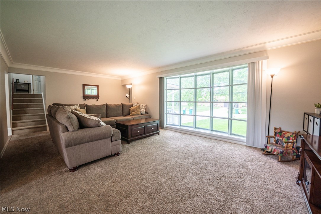 East Parkleigh Inc Skyline - Residential