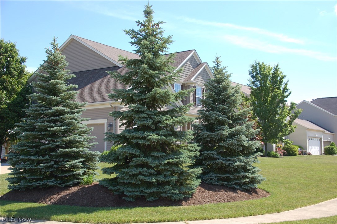 Northampton Highland Estate - Residential