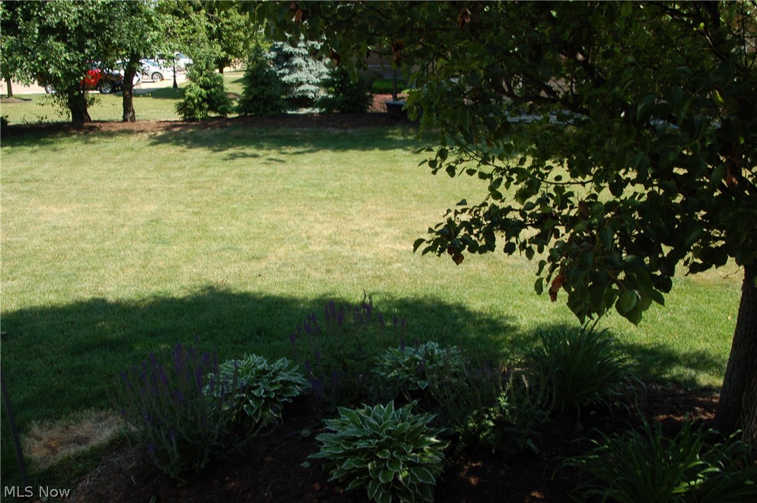 Northampton Highland Estate - Residential