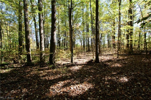 Tiny photo for 26420 West Road, Wellington, OH 44090 (MLS # 5249999)