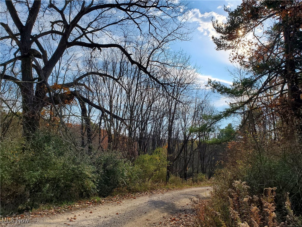 Township Rd 111, Warsaw, Ohio image 1