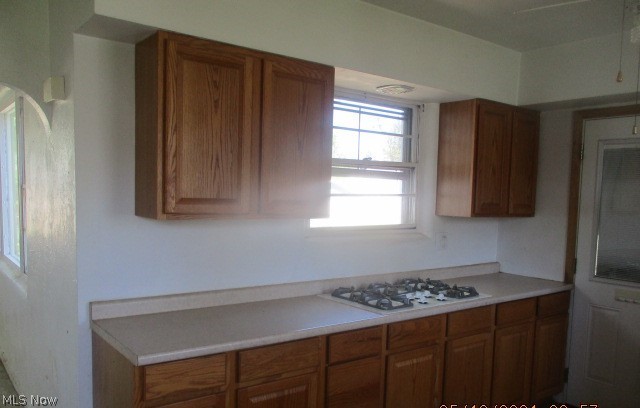 Avondale Park Allotment/J W Tayl - Residential