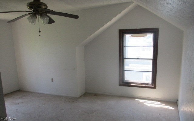 Avondale Park Allotment/J W Tayl - Residential