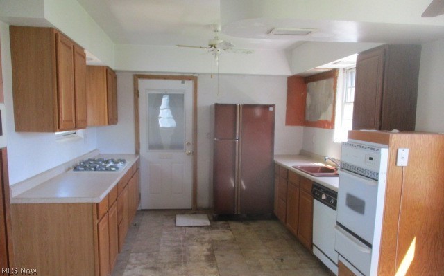 Avondale Park Allotment/J W Tayl - Residential