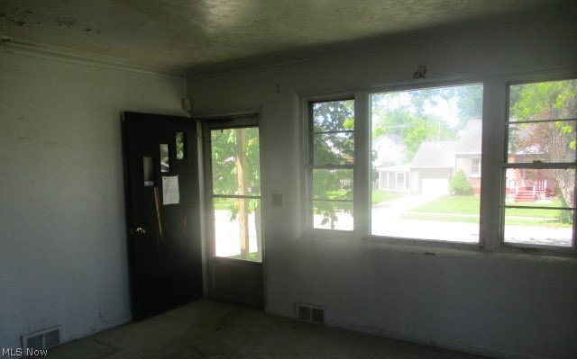 Avondale Park Allotment/J W Tayl - Residential