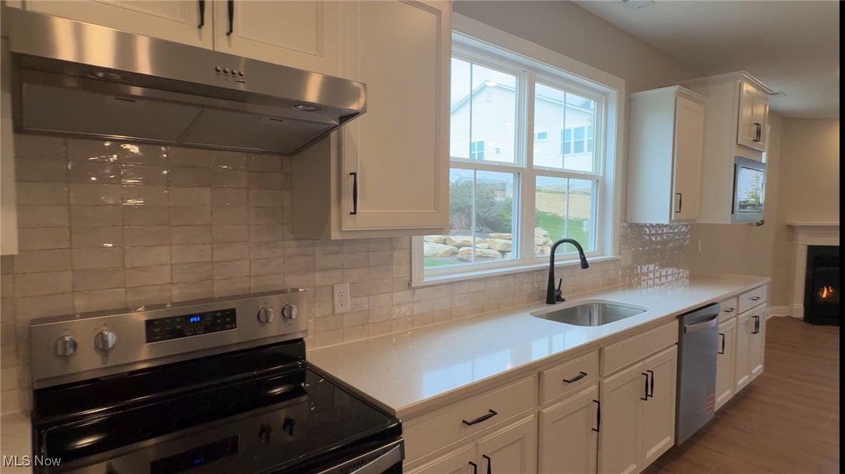 Renaissance Park at Geauga Lake - Residential