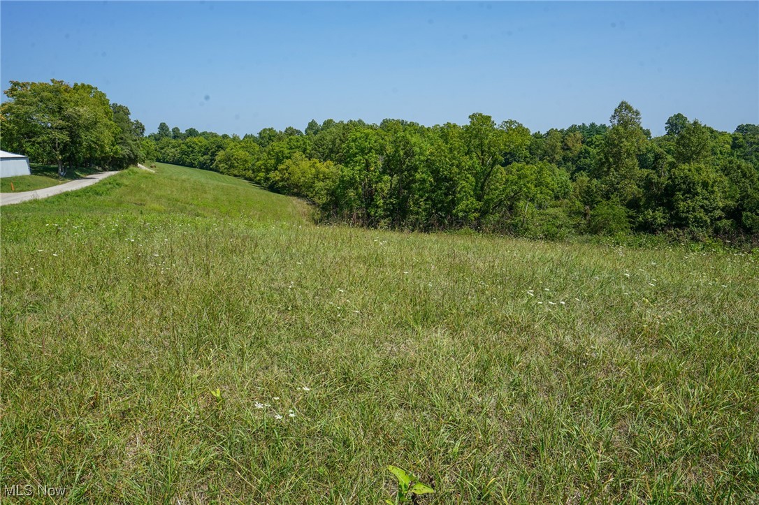 Van Fossen Ln, Chesterhill, Ohio image 4