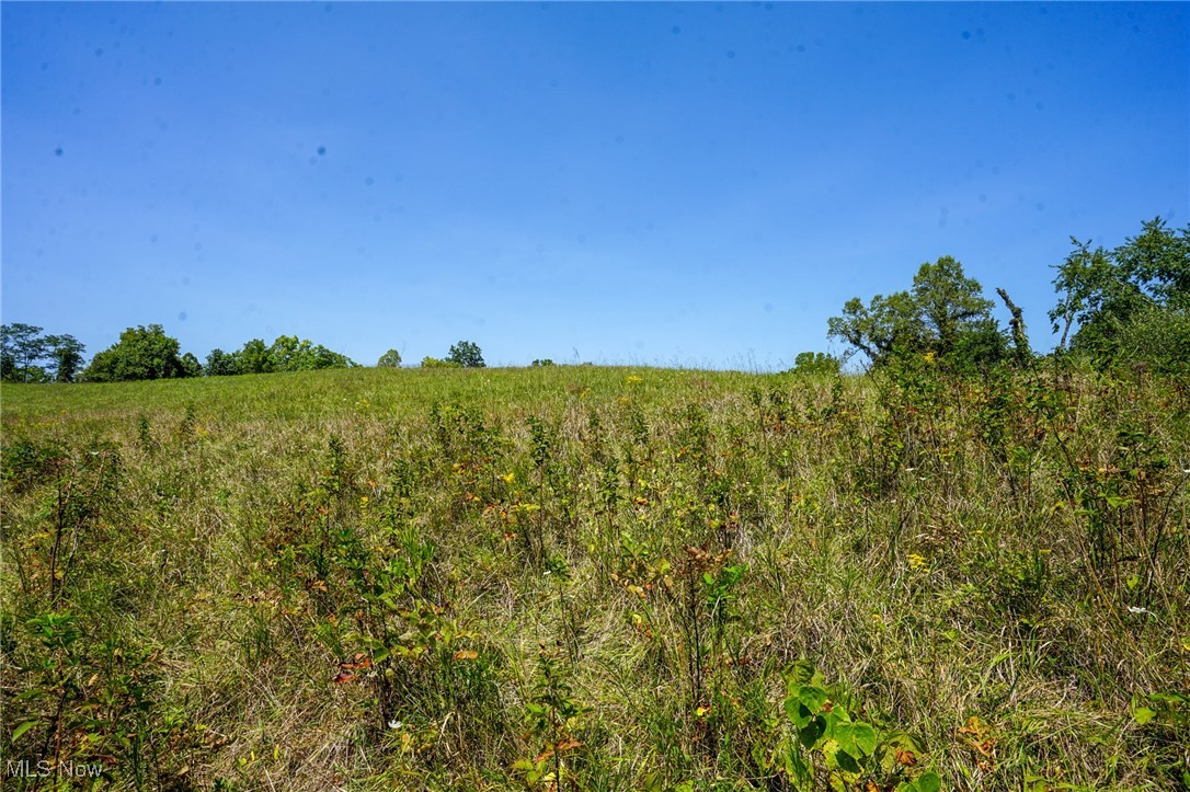 Van Fossen Ln, Chesterhill, Ohio image 9