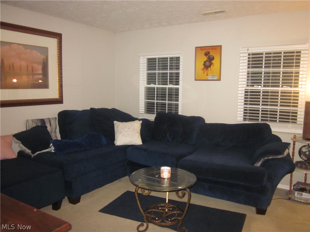 Courtyards Woodbury Condo - Residential