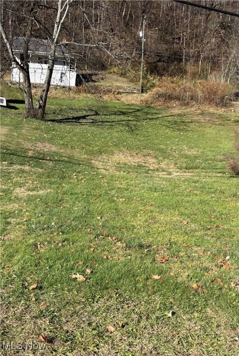 Vacant Land For Sale - 448 Market Street<br/> Clarington, OH 43915