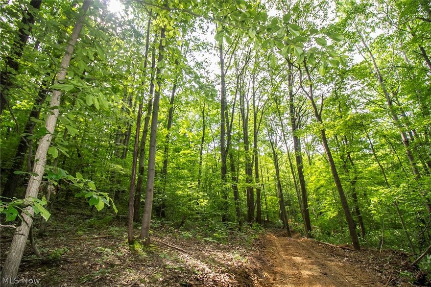 Very nice, mostly wooded property with a flowing creek, natural spring and improved access.  Mixed hardwoods with some beautiful mature red oaks.  This property is perfect for a rural getaway or a beautiful place to build a home.  Very quiet setting.  Seller does not own the mineral rights